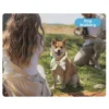 2Pcs Cute Print Pet Cooling Ice Scarf Adjustable Fast Cooling Pet Cool Neck Ring Reusable Ice Towel Dog Cooling Collar