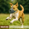 Breathable Dog Mesh Muzzle Adjustable Strap Prevent Barking Pet Training Muzzle Anti Biting Dog Muzzle Buckle Outdoor Use